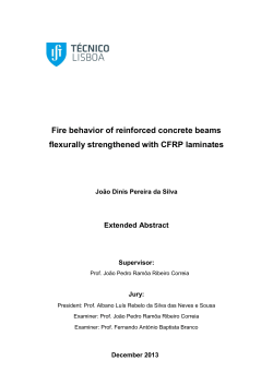 Fire behavior of reinforced concrete beams