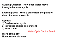 Guiding Question: How does water move
