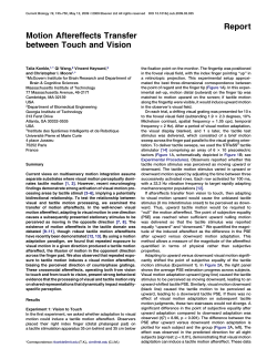 Motion Aftereffects Transfer between Touch and Vision
