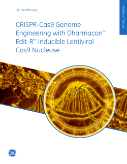 Edit-R Inducible Lentiviral Cas9 Nuclease - Technical