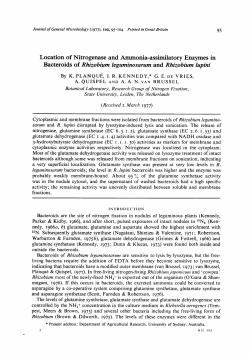 Location of Nitrogenase and Ammonia