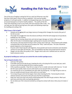 Handling the Fish You Catch - Lee County Extension