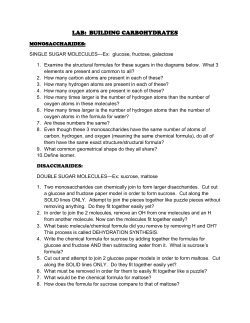 LAB: BUILDING CARBOHYDRATES