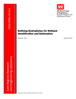 Defining Hydrophytes for Wetland Identification and Delineation