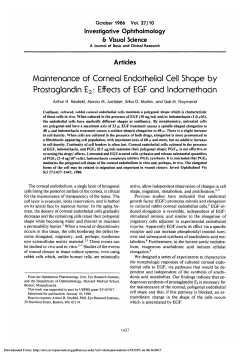 Maintenance of corneal endothelial cell shape by