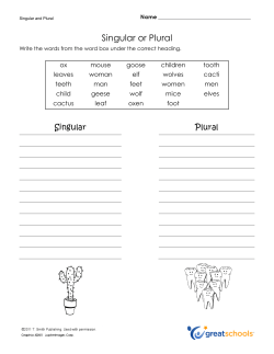 Singular or Plural - Mrs. Daniel`s Class