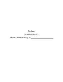 The Pearl Interactive Notebook