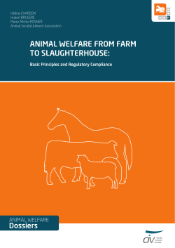 ANIMAL WELFARE FROM FARM TO SLAUGHTERHOUSE: