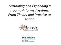 Sustaining and Expanding a Trauma-Informed System: From Theory