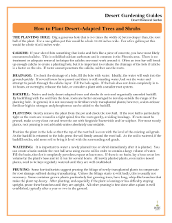 How to Plant Desert-Adapted Trees and Shrubs