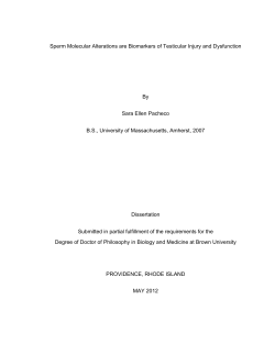 !Sperm Molecular Alterations are Biomarkers of Testicular Injury and
