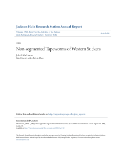 Non-segmented Tapeworms of Western Suckers