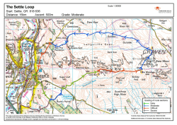 Settle Loop