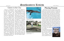 Southeastern Review - International Wildlife Museum