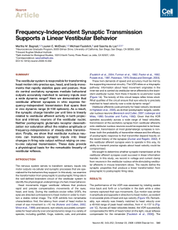 Frequency-Independent Synaptic Transmission Supports a Linear