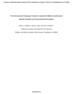 Determine the timing of bipolar spindle formation and chromosome