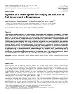 Lepidium as a model system for studying the evolution of fruit