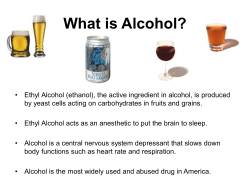 Alcohol - Towson University