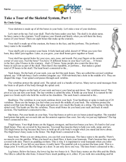 Take a Tour of the Skeletal System, Part 1