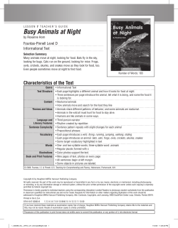 Busy Animals at Night - Houghton Mifflin Harcourt