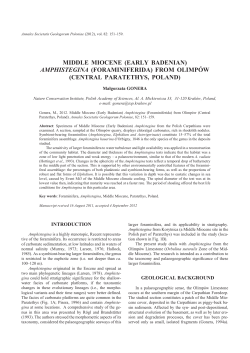 MID DLE MIO CENE (EARLY BADE NIAN) AM PHIS TE GINA (FO