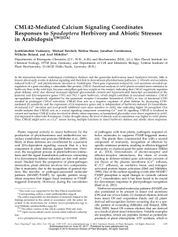 CML42-Mediated Calcium Signaling Coordinates