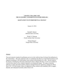 Colony Collapse and The Economic Consequences of Bee Disease
