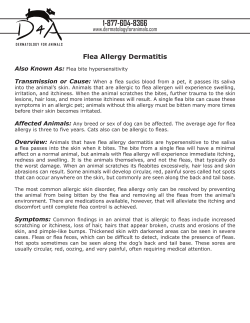 Flea Allergy Dermatitis - Dermatology For Animals