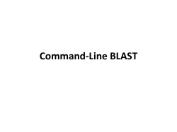 Command-‐Line BLAST - ILRI Research Computing