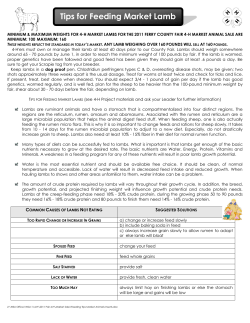 Tips for Feeding Market Lamb