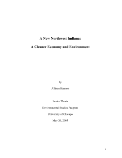 A New Northwest Indiana: A Cleaner Economy and Environment