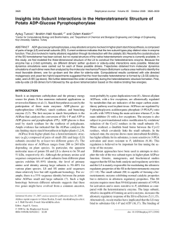 Insights into Subunit Interactions in the Heterotetrameric Structure of