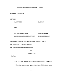 IN THE SUPREME COURT OF BELIZE, A