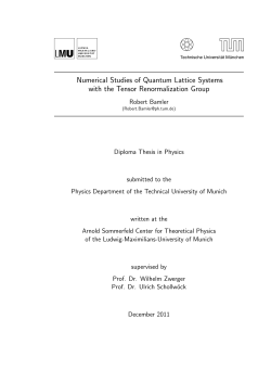 Numerical Studies of Quantum Lattice Systems with the Tensor