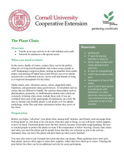 The Plant Clinic - Cornell Garden