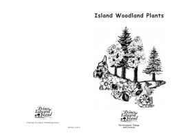 Island Woodland Plants