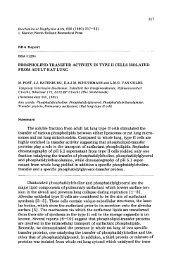 BBA Report PHOSPHOL~ID-TBANSFER ACTIVITY IN TYPE II
