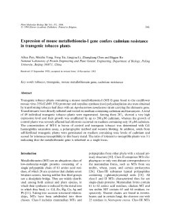 Expression of mouse metallothionein-I gene confers cadmium