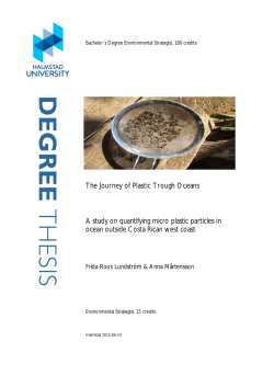 degree thesis