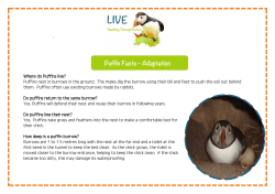 Where do Puffins live? - Teaching Through Nature