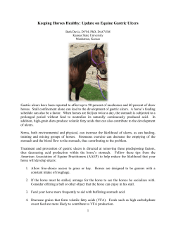 Keeping Horses Healthy: Update on Equine Gastric Ulcers