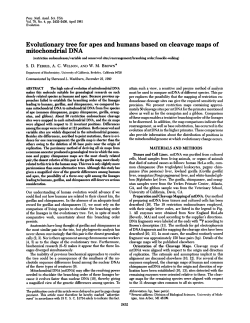 mitochondrial DNA - Semantic Scholar