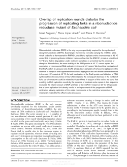 Overlap of replication rounds disturbs the progression