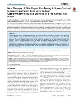 New Therapy of Skin Repair Combining Adipose-Derived