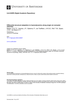 Differential structural adaptation to haemodynamics - UvA-DARE