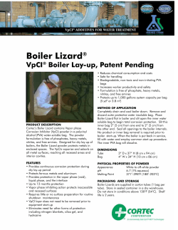 Boiler Lizard - Cortec Corporation