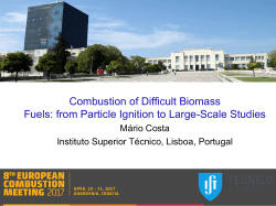 Combustion of Difficult Biomass Fuels: from Particle Ignition to Large