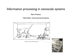 Information processing in nanoscale systems