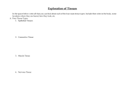 Exploring Tissue Types