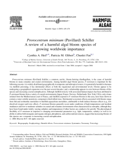 Prorocentrum minimum (Pavillard) Schiller A review of a harmful